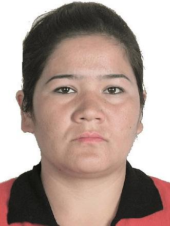 Tursungul Hoshur