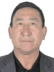 阿卜杜热西提·托合提