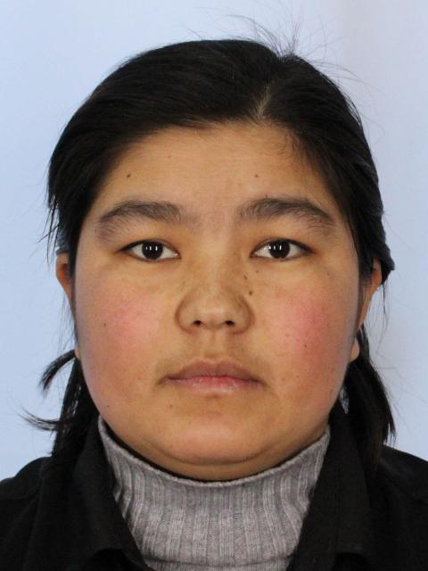 Hornisa Tohti