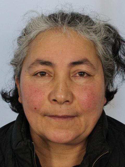 Aygul Idris