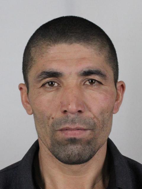 Mamut Qasim