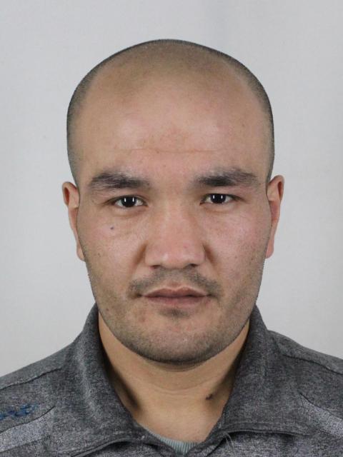 图尔迪·塔吉