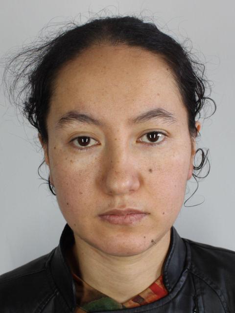 托合提古丽·麦麦提图尔荪